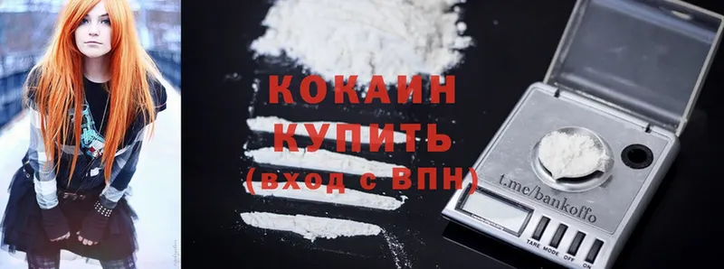 где можно купить   Полярный  Cocaine 99% 