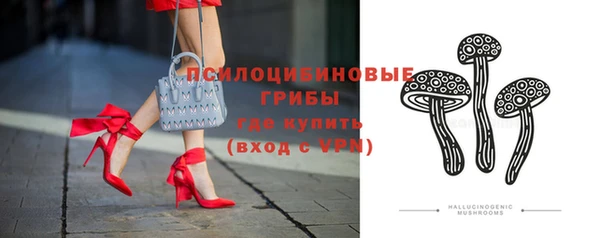 дурь Новокубанск