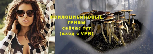 дурь Новокубанск