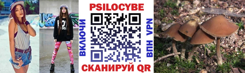 Псилоцибиновые грибы прущие грибы Полярный